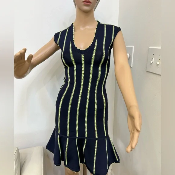 Beautiful Herve Leger Fit n Flare Dress! Beautiful Herve Leger Fit n Flare Dress!